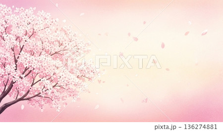 淡い光に包まれた桜の木と花びらの背景 136274881