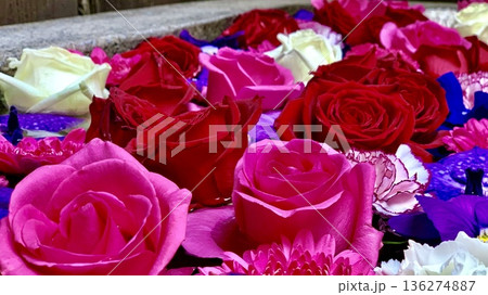12月の花手水(薔薇・菊・カーネーション・デンファレ)〈菅生神社/愛知県岡崎市〉 136274887