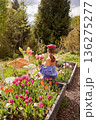 Woman holding tulip bouquet in mountain garden 136275277