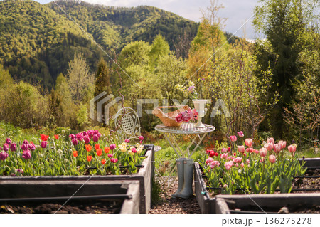 Spring tulip garden with rustic table in mountain countryside Spring tulip garden with rustic table in mountain countryside 136275278