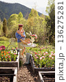 Woman arranging tulips in mountain garden 136275281