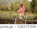 Woman holding tulip bouquet in mountain countryside 136275306