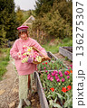 Woman harvesting tulips in mountain garden 136275307