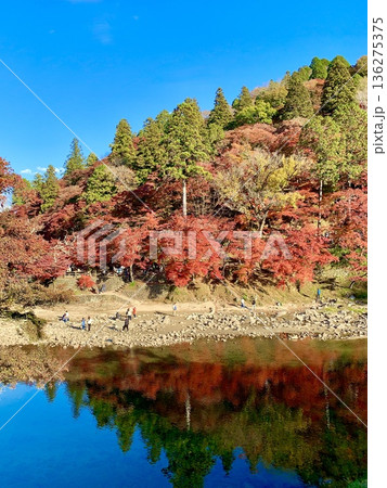 秋晴れの青空に映える紅葉と巴川の水鏡〈香嵐渓/愛知県豊田市足助町〉 136275375