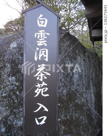 強羅公園その37 強羅公園その37 136275645