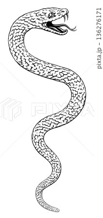 Snake Coiled Serpent Vintage Style Illustration 136276171