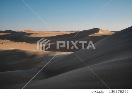 Sand dunes under soft evening light 136276295