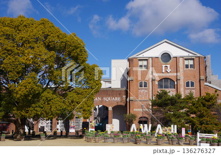 兵庫県淡路島　洲本アルチザンスクエア　冬咲きチューリップショー 136276327