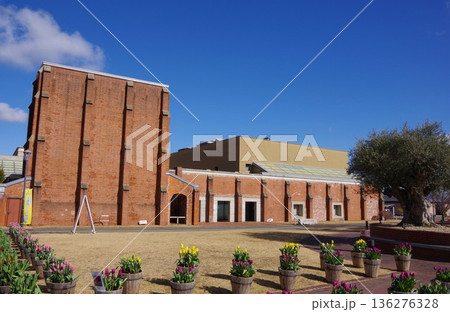 兵庫県淡路島　洲本図書館と冬咲きチューリップショー 136276328
