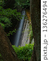 木々の隙間から流れる滝 136276494