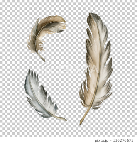 Bird Feather Set. Watercolor hand drawn illustration isolated on white background for Easter decor spring boho beige design rural cottagecore style card postcard poster print home textile package 136276673