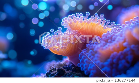 Vibrant underwater scene featuring colorful coral with glowing tentacles, surrounded by shimmering bubbles, creating a mesmerizing aquatic atmosphere and showcasing marine beauty 136277144