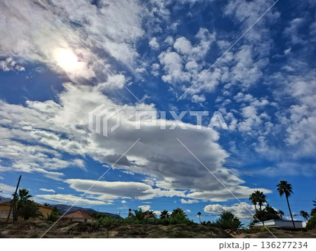 A bright sun shines above a blue sky filled with clouds. Palm trees stand tall in the foreground under a clear southern Spain afternoon. The light creates shadows and shapes. 136277234