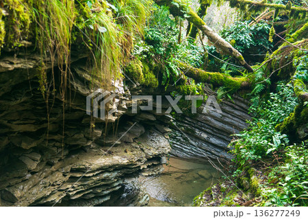 spring among limestone rocks in a tropical forest spring among limestone rocks in a tropical forest 136277249