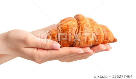 Fresh croissant resting on female hands isolated on white background Fresh croissant resting on female hands isolated on white background 136277464