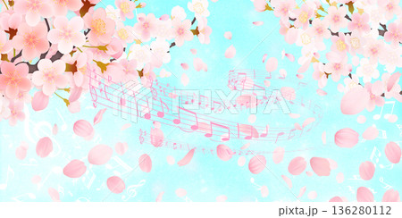 花びら舞い散る桜の背景素材 136280112