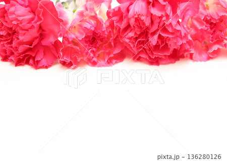 白背景のカーネーションの花束 白背景のカーネーションの花束 136280126
