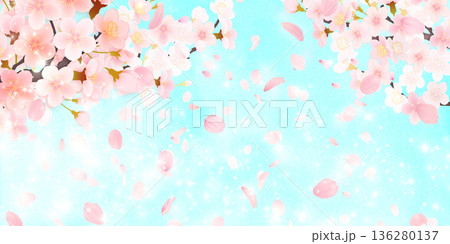 花びら舞い散る桜の背景素材 136280137