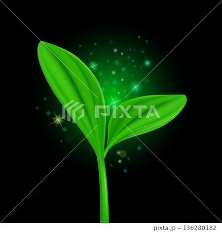 Green plant 136280182
