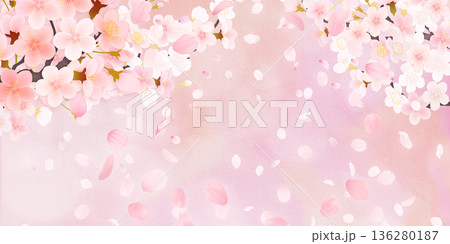 花びら舞い散る桜の背景素材 136280187