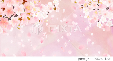 花びら舞い散る桜の背景素材 136280188