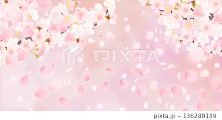 花びら舞い散る桜の背景素材 136280189