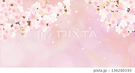 花びら舞い散る桜の背景素材 136280193