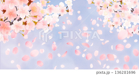 花びら舞い散る桜の背景素材 136281696