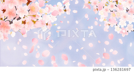 花びら舞い散る桜の背景素材 136281697