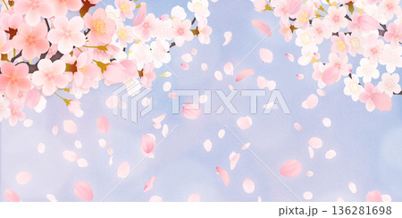 花びら舞い散る桜の背景素材 花びら舞い散る桜の背景素材 136281698