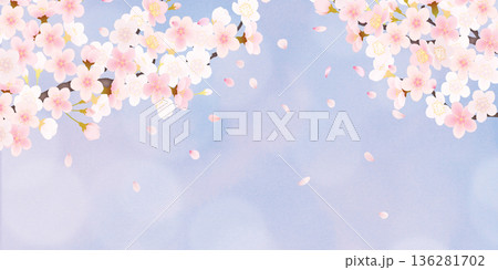 花びら舞い散る桜の背景素材 136281702