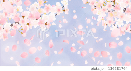 花びら舞い散る桜の背景素材 花びら舞い散る桜の背景素材 136281764