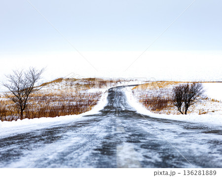 真冬の北海道網走市にある能取岬灯台へ続く道と流氷風景 136281889