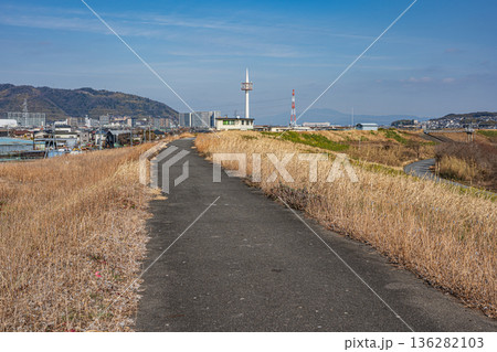 淀川右岸堤防上の遊歩道 大阪府高槻市 淀川右岸堤防上の遊歩道 大阪府高槻市 136282103
