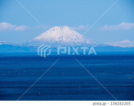 八雲町から見た羊蹄山 136282205