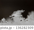 雪の結晶 136282309