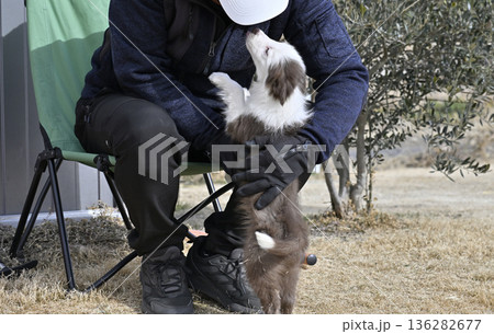子犬と遊ぶ男性 ボーダーコリー パピー 子犬と遊ぶ男性 ボーダーコリー パピー 136282677