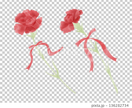 一幅帶有絲帶的紅色康乃馨插圖 136282734