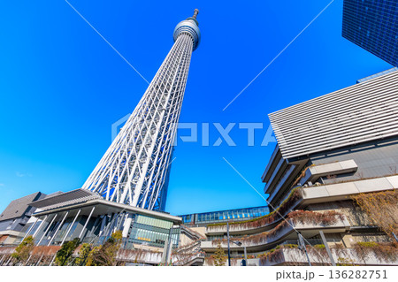 東京　墨田区　東京スカイツリータウン 136282751