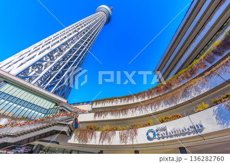 東京　墨田区　東京スカイツリータウン 136282760