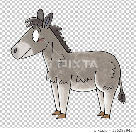 Donkey Donkey 136282943
