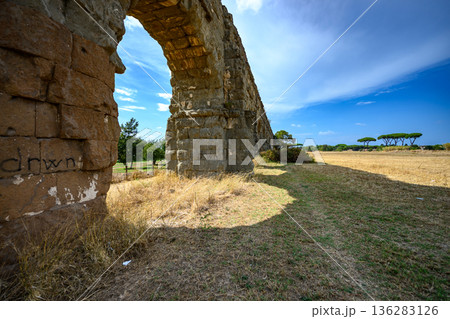 Roman Aqueduct Landscape with Pine Trees, Rome Italy 136283126