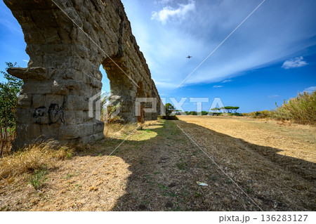 Roman Aqueduct Landscape with Pine Trees, Rome Italy 136283127