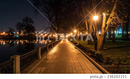 深夜の公園の静かなPOVショット 136283151