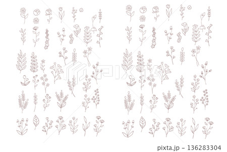 素朴な手描きの植物のパーツセット。 136283304