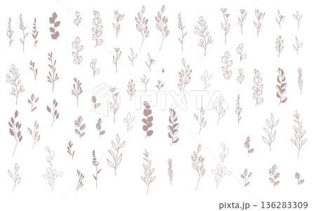 手描きの植物のパーツセット。 136283309