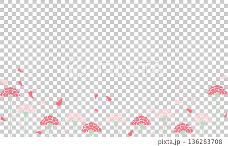 Red and pink carnations lined up below with fluttering petals Red and pink carnations lined up below with fluttering petals 136283708