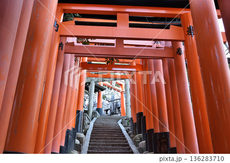 伏見稲荷大社　中之社付近の千本鳥居(京都市伏見区) 136283710