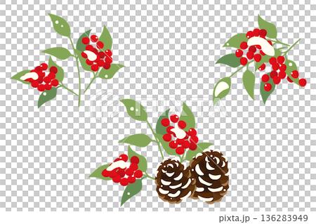 一組以南天竹雪為主題的插畫。 136283949