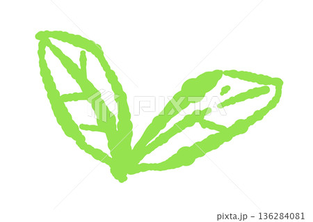 ミントのイラスト。おしゃれな手描きのミント線画素材 136284081